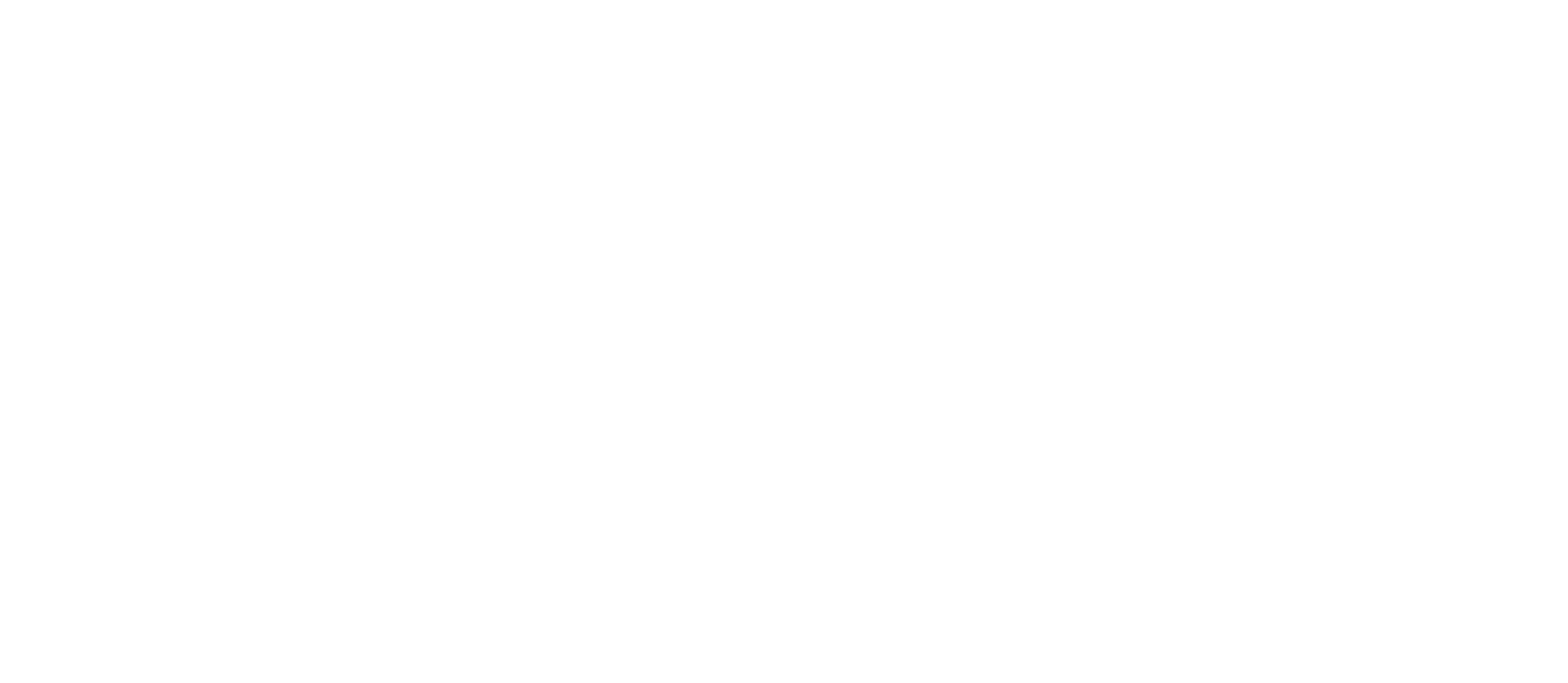BS Elektrobau Logo